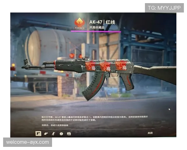 CS2饰品稀有度查询工具:你的库存到底价值多少钱?(49 ) CS2饰品稀有度查询工具:你的库存到底价值多少钱?(49 )