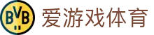 爱游戏 (AYX)唯一中文官方网站 - AYX SPORTS
