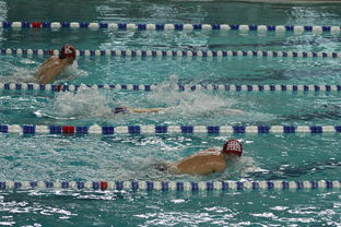 ayx爱游戏官网-中国游泳运动员世锦赛接力项目表现抢眼，中国游泳接力夺金